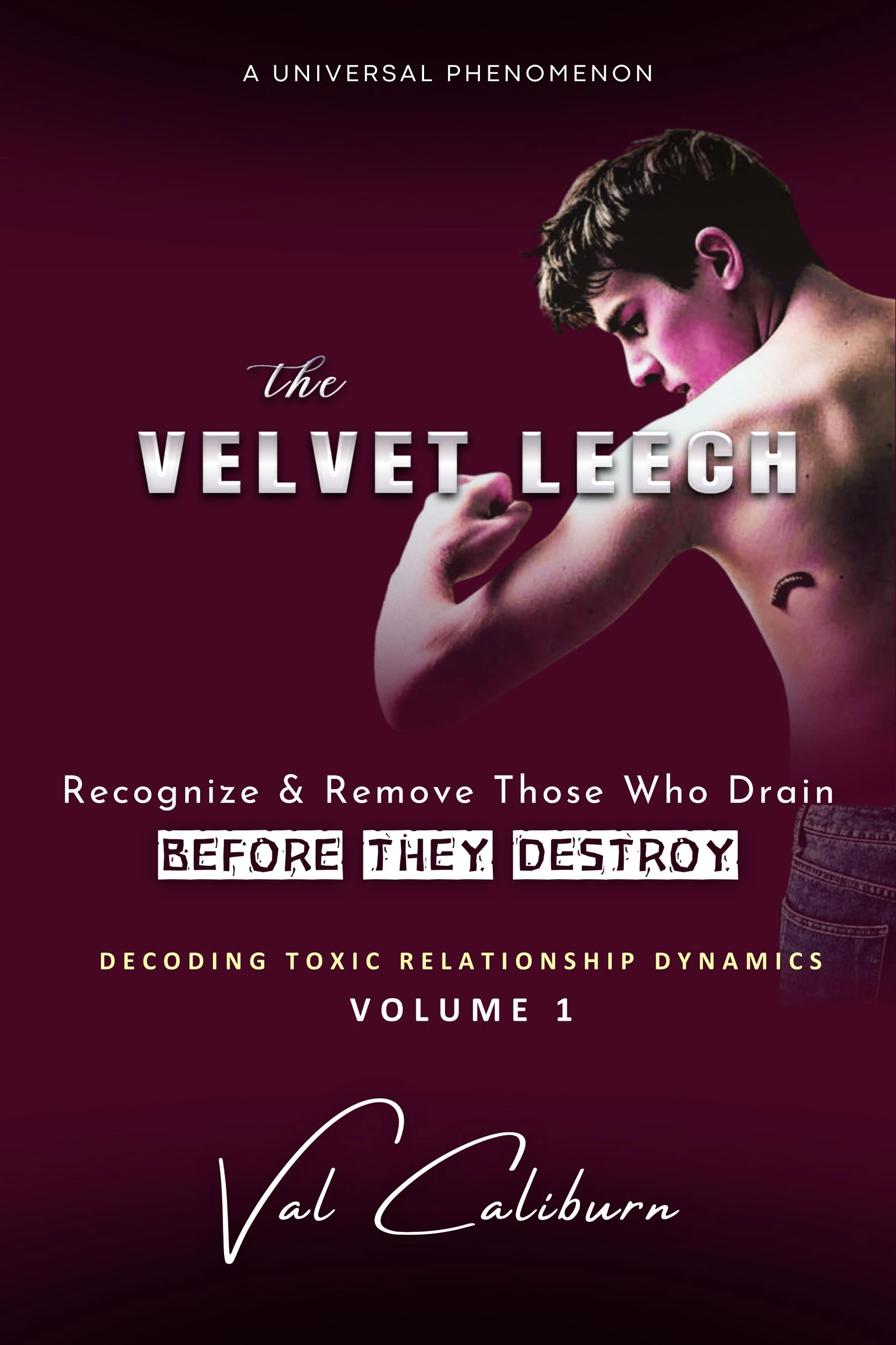 The Velvet Leech cover